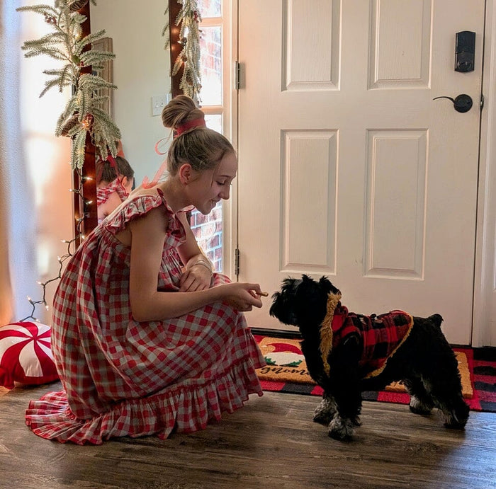 Cotton Red Checked Ruffled Sleeve Dress DRESS Yo Baby India