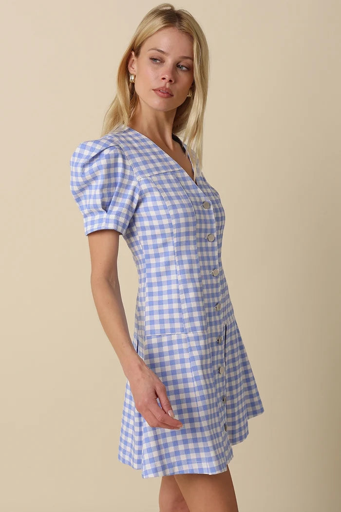 Serena Gingham Dress - Greige Goods