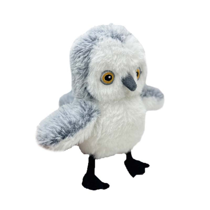 Grey and White Bird