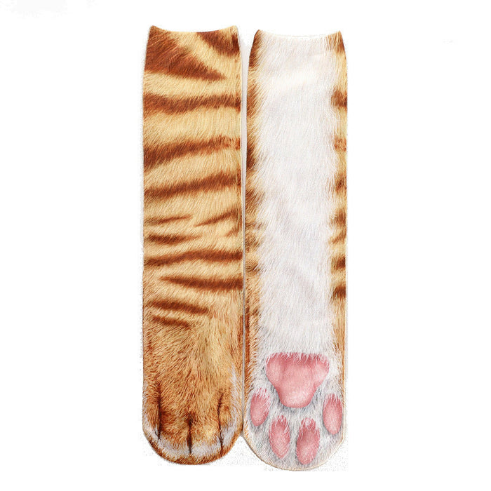Tabby cat