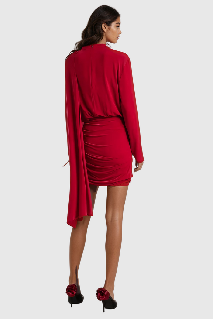 Aileen Shawl Ruch Mini Dress