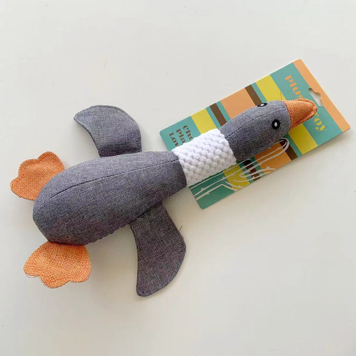 Gray Duck
