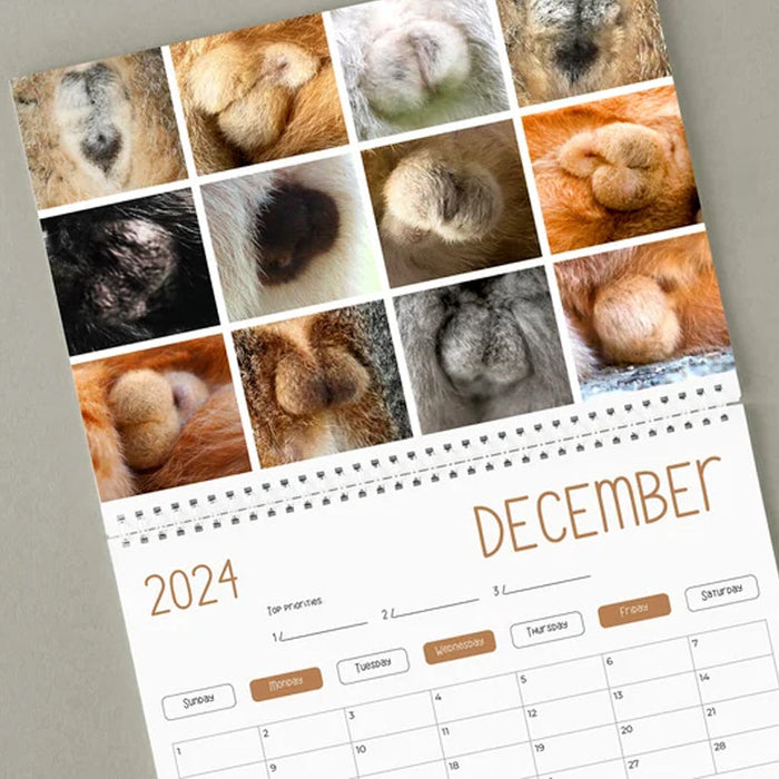 Funniest calendar of the century | Funny Cat Calendar 2024
