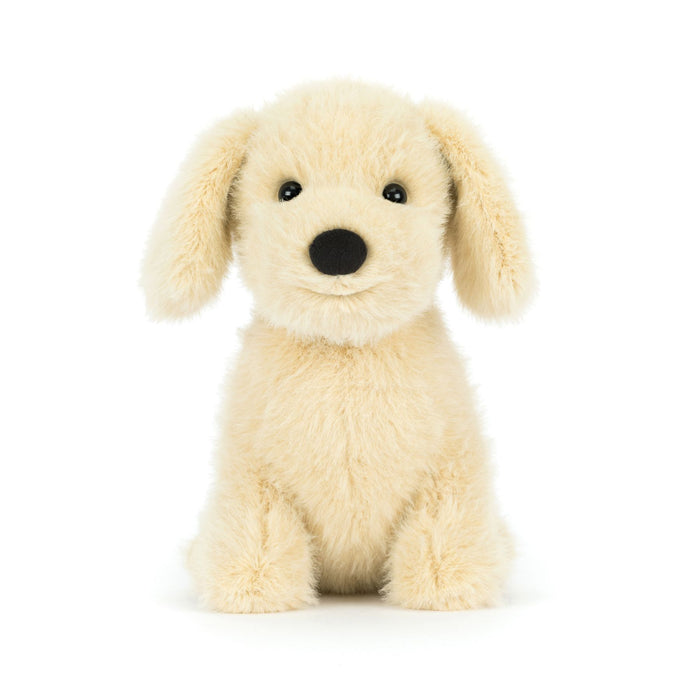 Golden Puppy