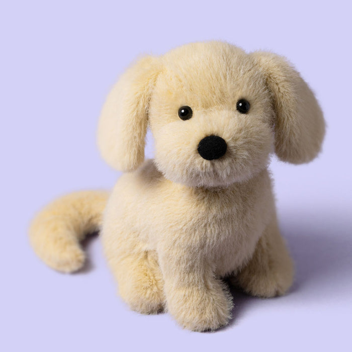 Golden Puppy