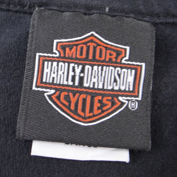 Harley Davidson Big Logo Durango Colorado Steam Engine Graphic T Shirt Black Lrg1