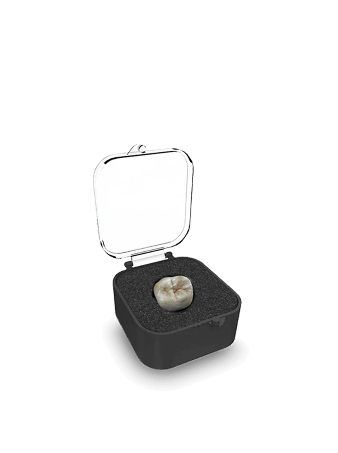 HARVEST DENTAL - Crown Box