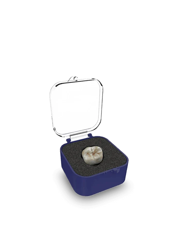 HARVEST DENTAL - Crown Box