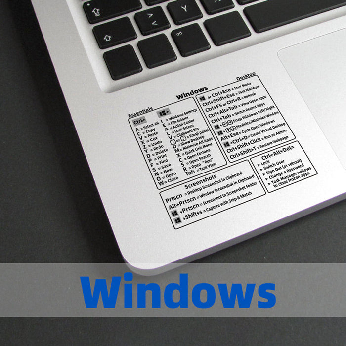 WINDOWS / 3 pcs