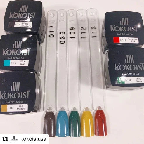Kokoist Color Gel | E-017 Bitter Chocolate
