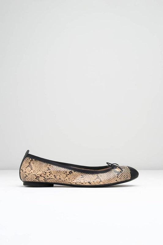 Ladies Astra Ballet Pumps