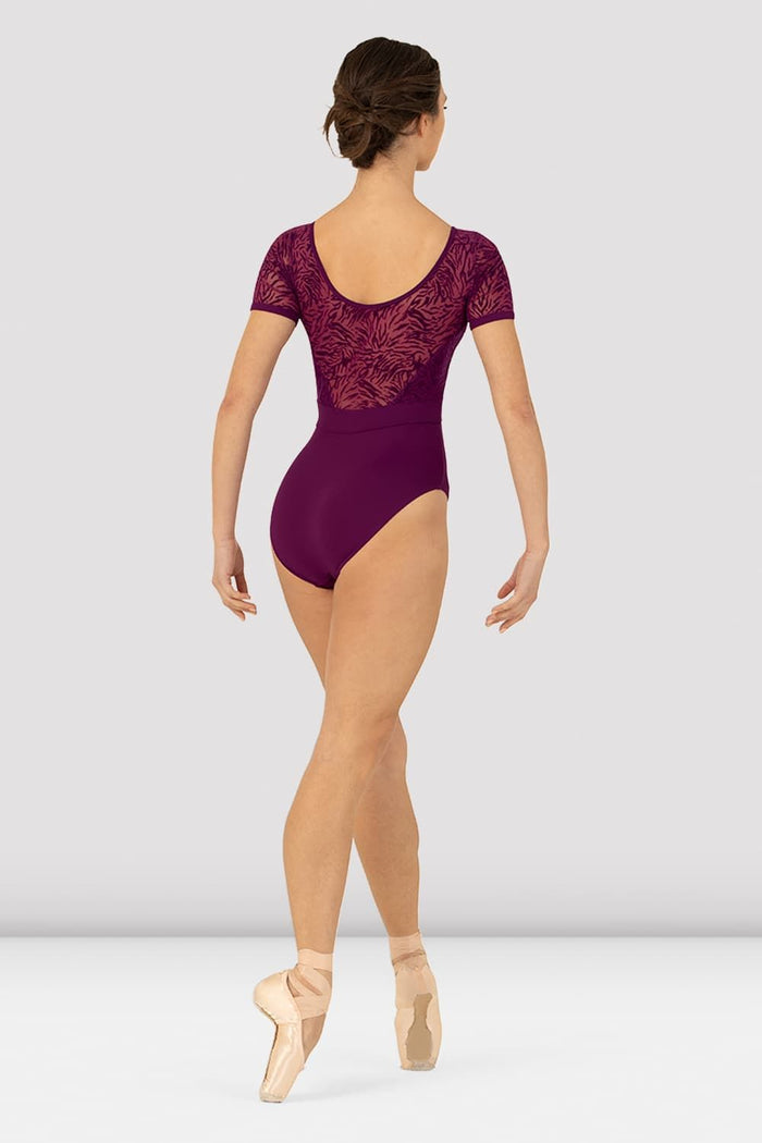 Ladies Vienna Short Sleeve Leotard