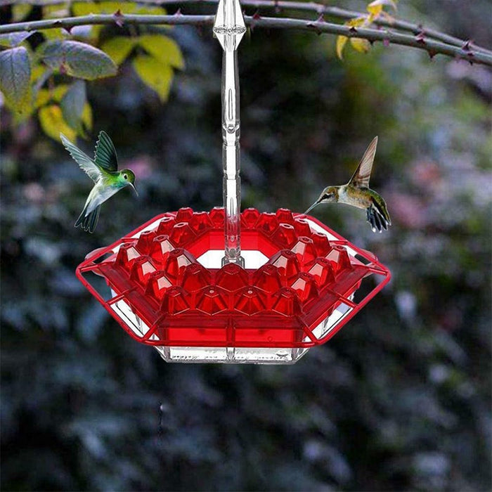 New Hummingbird Feeder