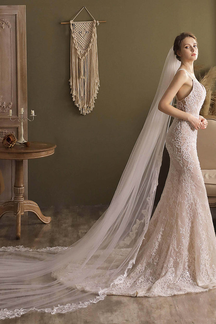 One-tier Lace Edge Tulle Cathedral Veils Appliques CV0269 - COCOMELODY