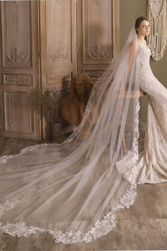 One-tier Lace Edge Tulle Cathedral Veils Appliques CV0269 - COCOMELODY