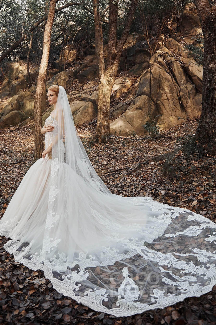 One-tier Lace Tulle Cathedral Veils Appliques Beading CV0183 - COCOMELODY