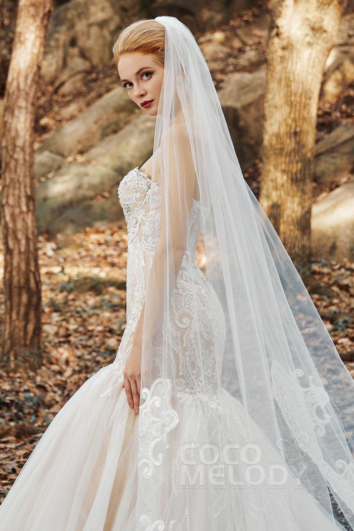 One-tier Lace Tulle Cathedral Veils Appliques Beading CV0183 - COCOMELODY