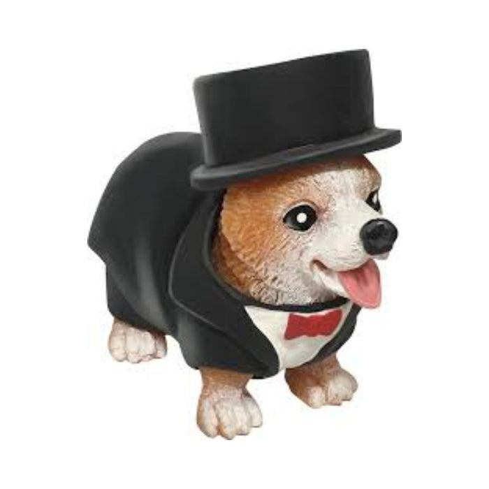 Corgi Tuxedo