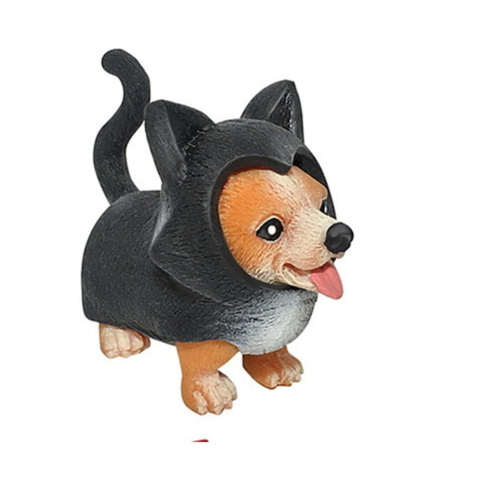 Corgi Cat