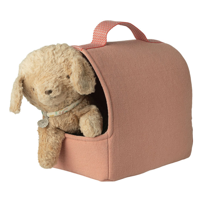 Pet Carrier