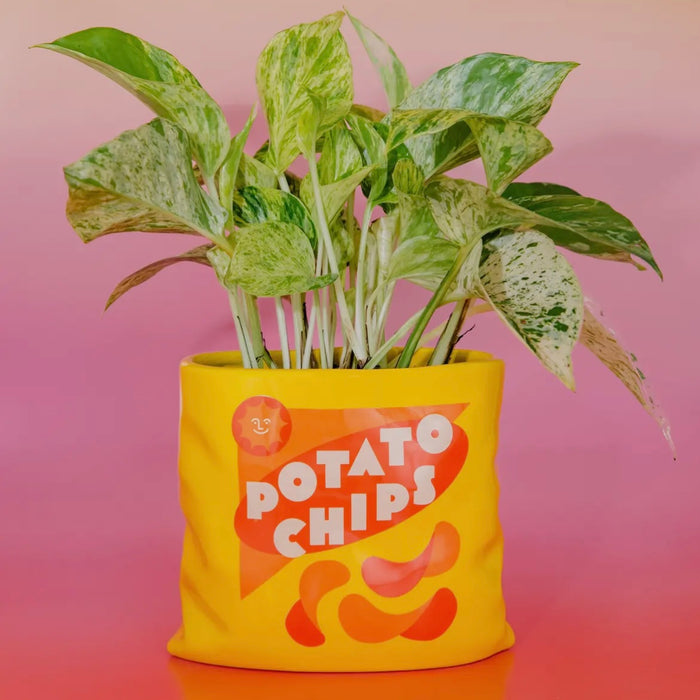 Potato Chips Vase