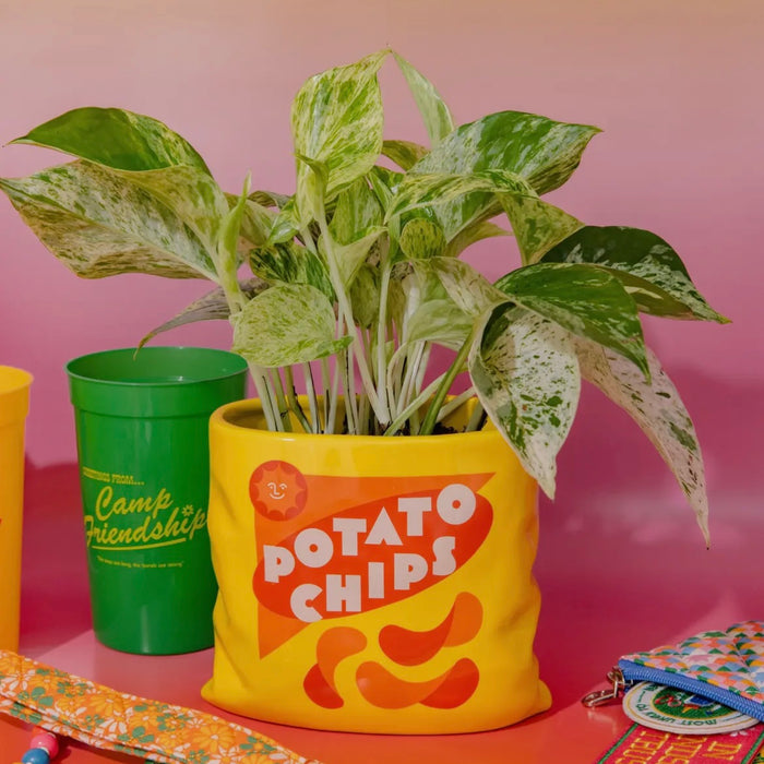 Potato Chips Vase