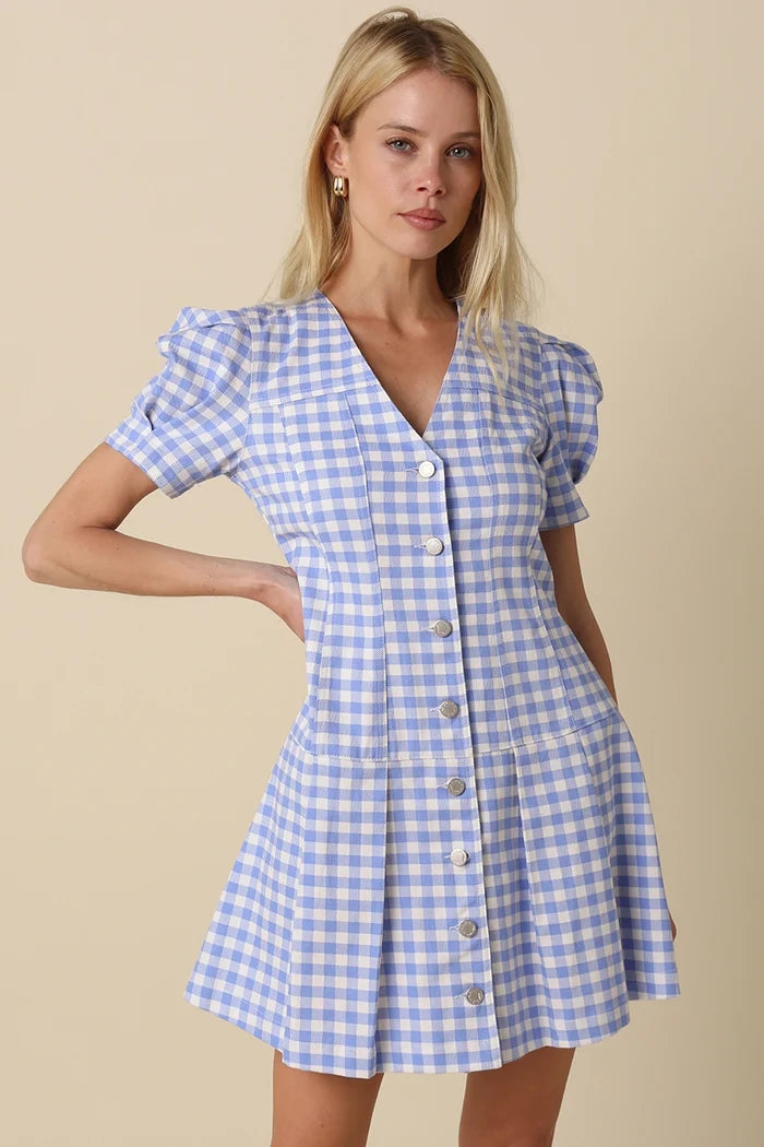 Serena Gingham Dress - Greige Goods