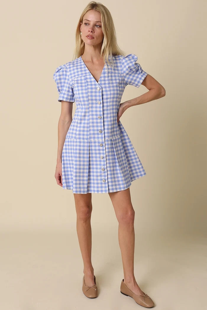 Serena Gingham Dress - Greige Goods