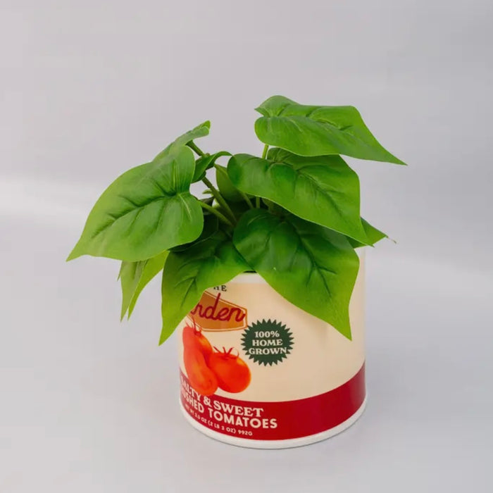 Tomato Can Planter