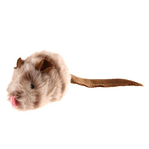 Rats
