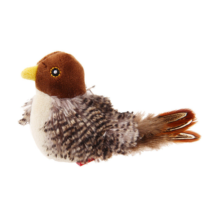 Brown Bird